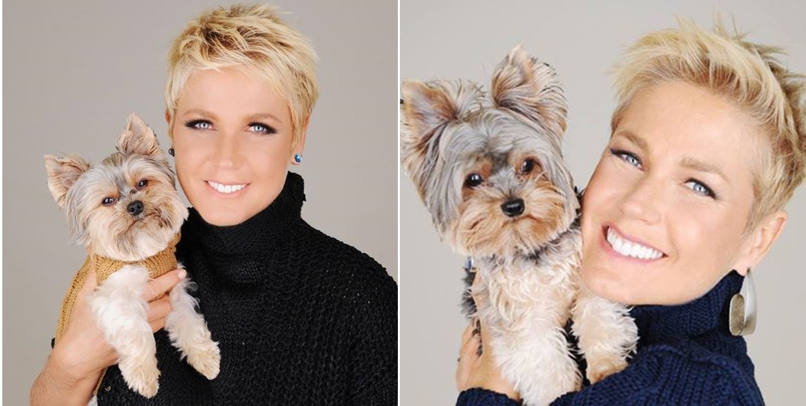 DUDU, CACHORRO COMPANHEIRO DE XUXA, MORRE AOS 11 ANOS - News Rondônia