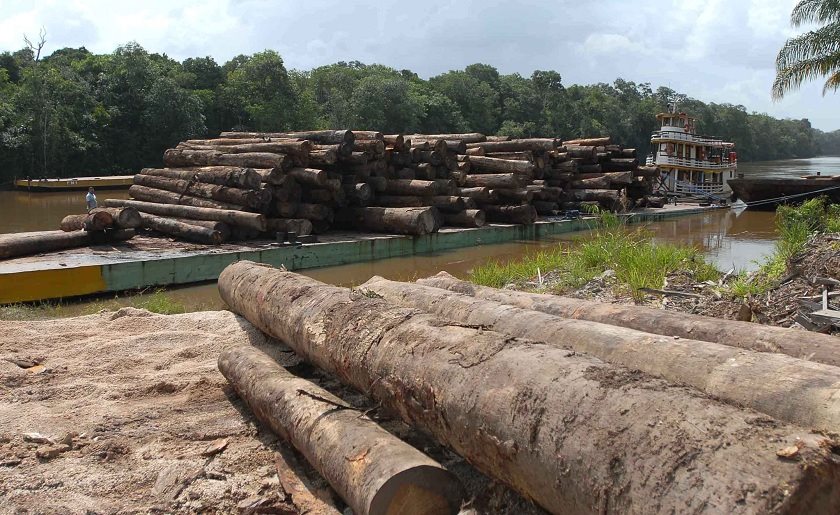 OPERAÇÃO DA PF COMBATE EXPLORAÇÃO ILEGAL DE MADEIRA NA REGIÃO AMAZÔNICA - News Rondônia