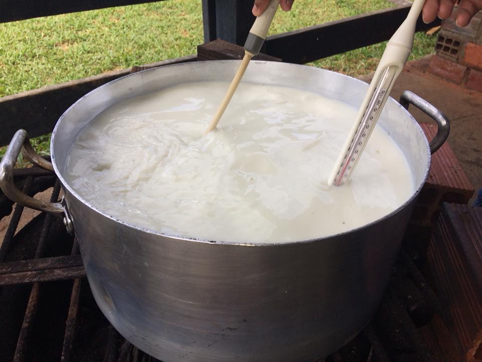 PRODUTORES RURAIS DO JOANA DARC PARTICIPAM DE CURSO DE 'FABRICAÇÃO DE DERIVADOS DO LEITE' - News Rondônia