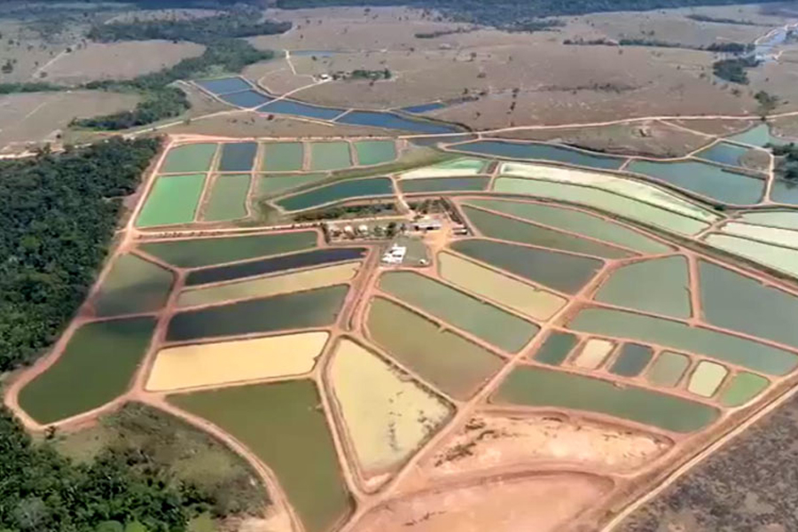 Agrofish Nova Aurora está na segunda edição da Agrolab Amazônia - News Rondônia