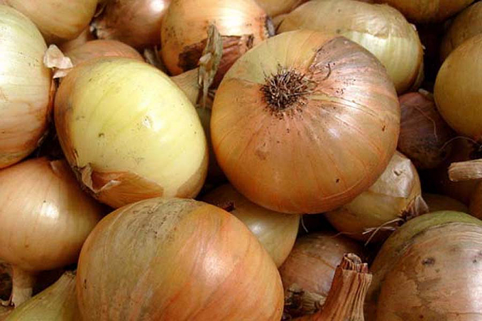 Cebola entra na lista de produtos que irão receber bônus do PGPAF em agosto - News Rondônia