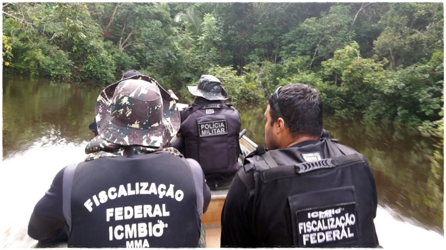 Publicado o edital com 171 vagas para o ICMBIO: 34 são destinadas para Rondônia - News Rondônia