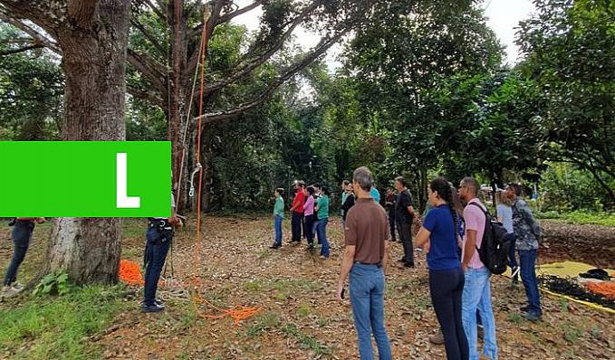 Embrapa Rondônia realiza treinamento para avaliação de impacto ambiental de tecnologias de restauração florestal - News Rondônia