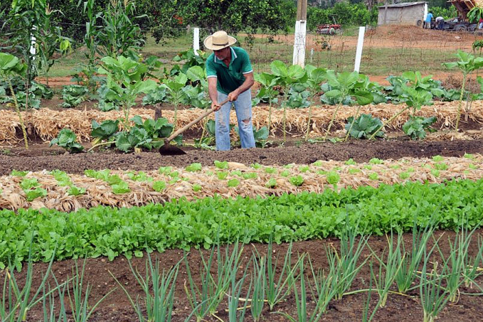 FOMENTO - Seminário para elaborar o Plano de Desenvolvimento da Agricultura Familiar de Guajará-Mirim acontece nos dias 11 e 12 - News Rondônia