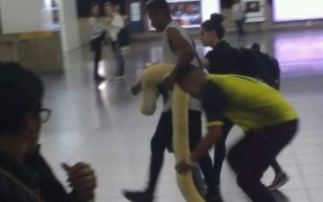 COBRA GIGANTE É TRANSPORTADA EM VAGÃO DE METRÔ EM SÃO PAULO - News Rondônia