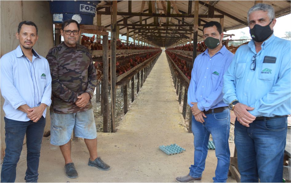 AVICULTURA: Granja recebe assistência técnica para implantação do sistema de automatização em Rondônia - News Rondônia