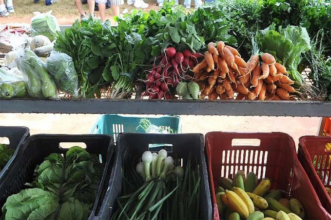 Dia Mundial do Vegano é celebrado neste 1º de novembro - News Rondônia