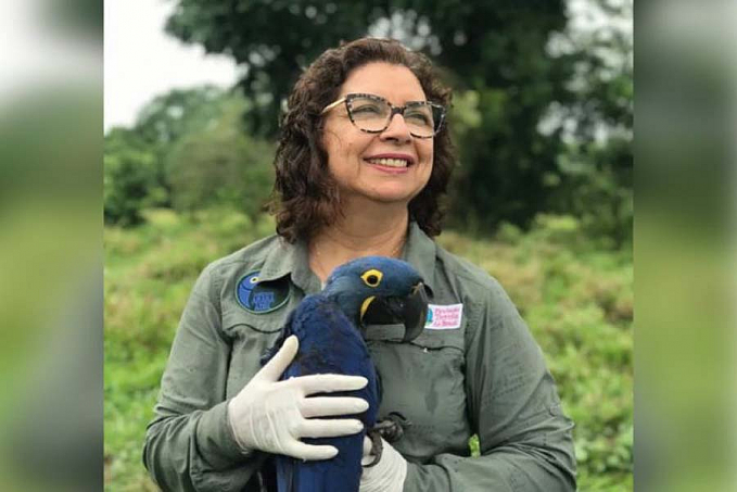 Brasileira salva araras-azuis da extinção e entra no Hall da Fama da ONU - News Rondônia