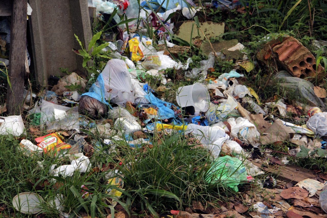 AGEVISA ORIENTA SOBRE OS CUIDADOS QUE A POPULAÇÃO DEVE TER NO CONTROLE DE PRAGAS URBANAS - News Rondônia