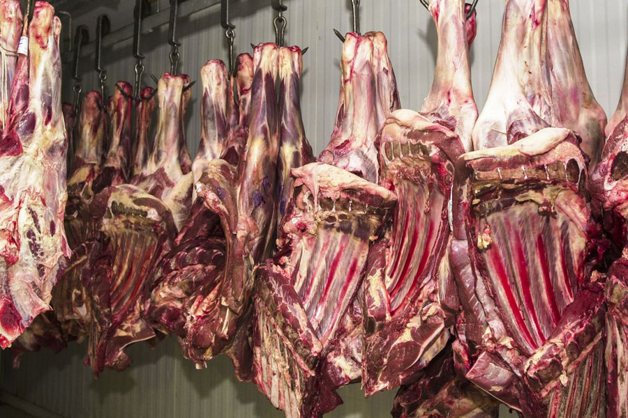 Comércio irregular de carne é alvo de operação no interior paulista - News Rondônia