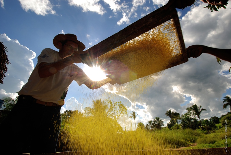 DIA DO AGRICULTOR É COMEMORADO COM EVENTO NACIONAL - News Rondônia