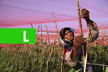 DIA DO AGRICULTOR É COMEMORADO COM EVENTO NACIONAL - News Rondônia