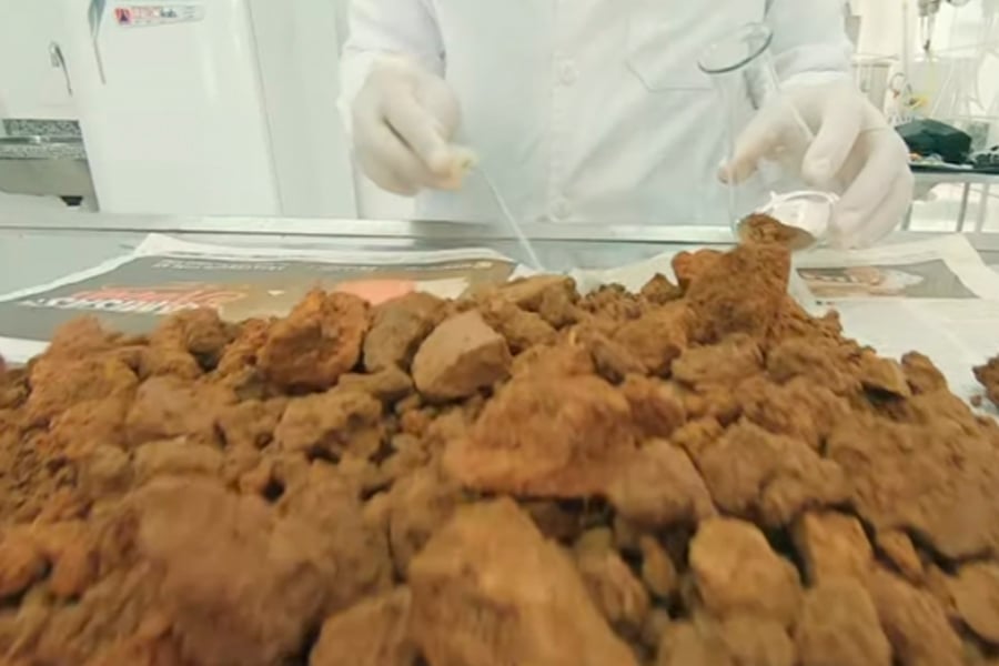 Parcerias fortalecem cafeicultura rondoniense; Cacoal conta com laboratório de análises de solo e metais pesados - News Rondônia