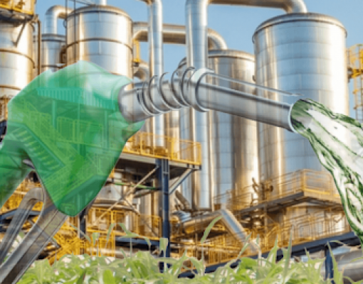 CONAB CONFIRMA MAIOR PRODUÇÃO DE ETANOL DA HISTÓRIA, COM 35,6 BILHÕES DE LITROS - News Rondônia