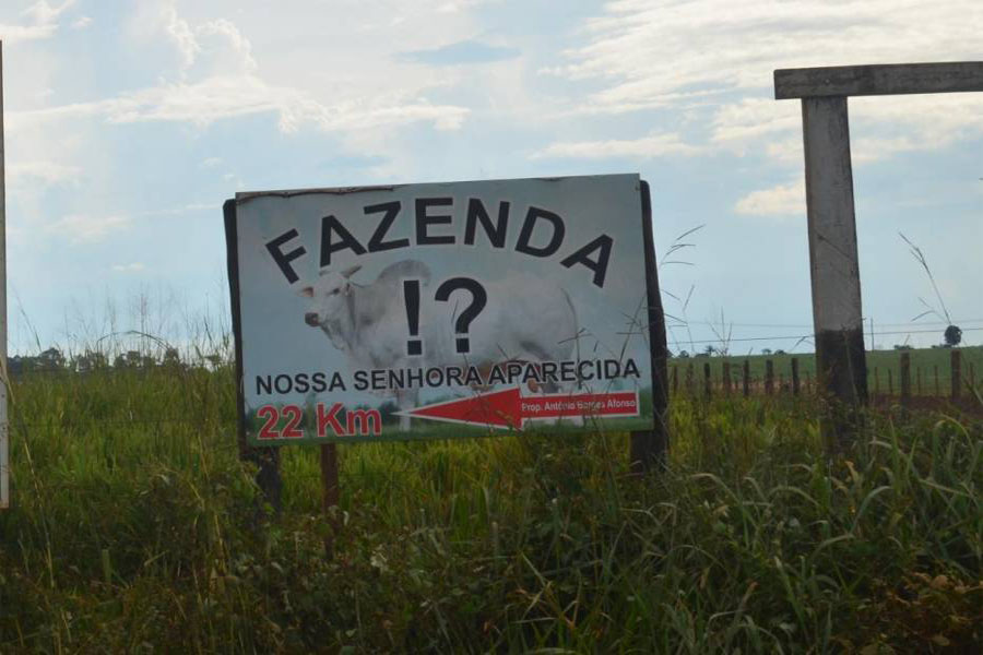 Polícia de Chupinguaia registra troca de tiros entre invasores e seguranças privados em fazenda invadida - News Rondônia