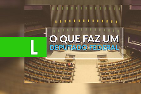 SAIBA O QUE FAZ UM DEPUTADO FEDERAL - News Rondônia