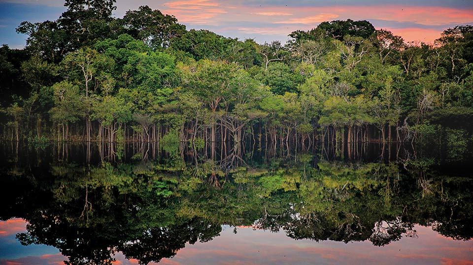 CHAVE PARA O MUNDO - POR CARLOS SPERANÇA - News Rondônia