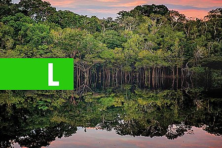 CHAVE PARA O MUNDO - POR CARLOS SPERANÇA - News Rondônia