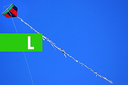 ROLIM DE MOURA: 3º FESTIVAL DE PIPAS ACONTECE NESTE FINAL DE SEMANA - News Rondônia