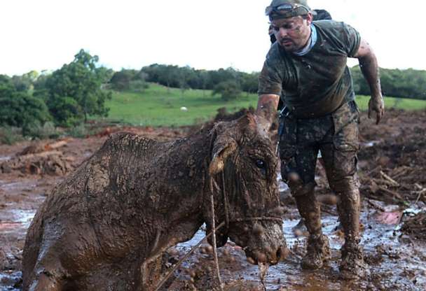 TCU VAI FISCALIZAR AÇÕES DA AGÊNCIA NACIONAL DE MINERAÇÃO APÓS DESASTRE DE BRUMADINHO - News Rondônia