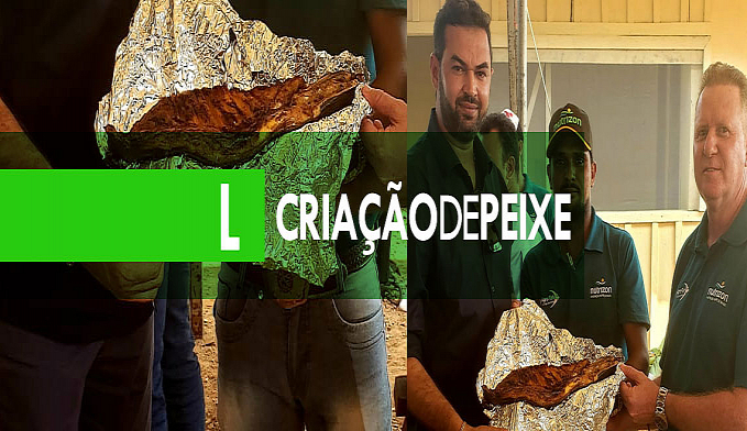PISCICULTORES SÃO CAPACITADOS DURANTE O DIA DE CAMPO REALIZADO EM THEOBROMA - News Rondônia