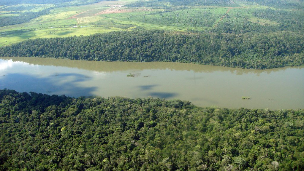 A AMAZÔNIA E OS CHINESES - POR CARLOS SPERANÇA - News Rondônia