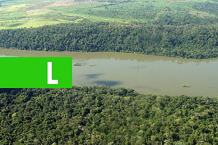 A AMAZÔNIA E OS CHINESES - POR CARLOS SPERANÇA - News Rondônia