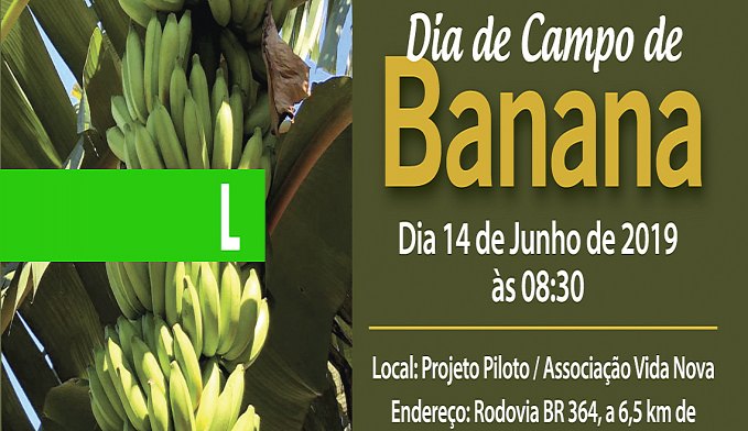 DIA DE CAMPO DE BANANA ACONTECE DIA 14 DE JUNHO, EM PORTO VELHO - News Rondônia
