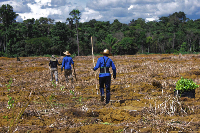 Dia da Amazônia - Qual o papel da maior floresta tropical do planeta no combate ao aquecimento global? - News Rondônia