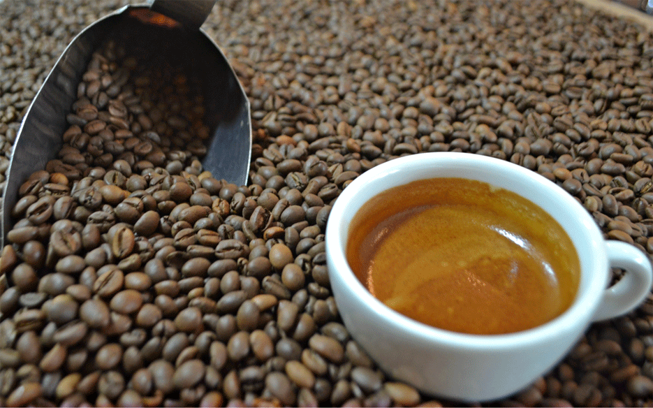 ANÁLISE - Café de Rondônia recebe nova certificação de qualidade; amostras analisadas estão dentro dos padrões legais - News Rondônia
