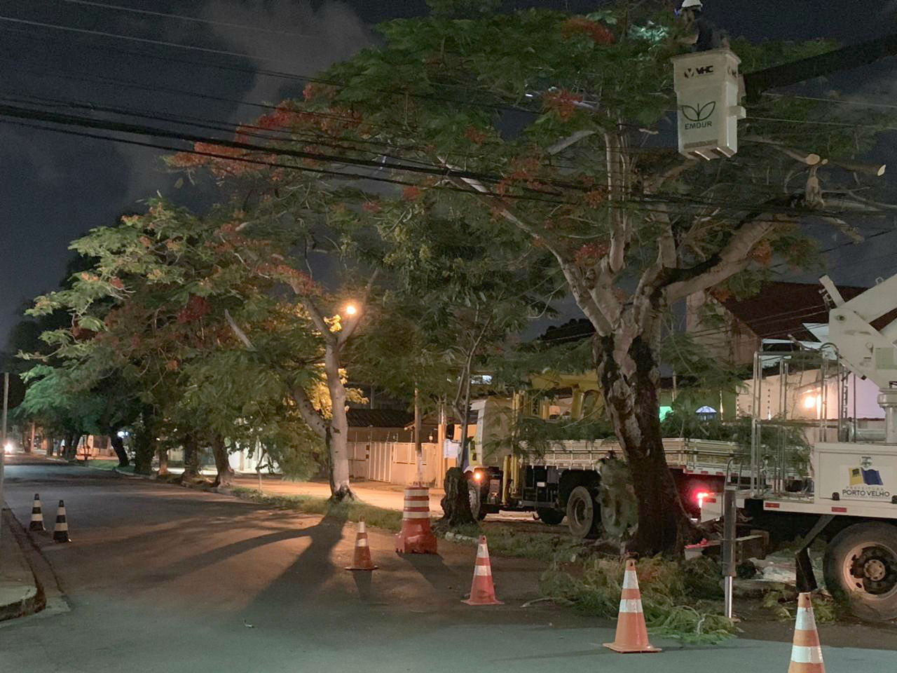 EMDUR - PODA DE ÁRVORES DEIXA A RUA JOSÉ CAMACHO MENOS POLUÍDA E MAIS ILUMINADA - News Rondônia
