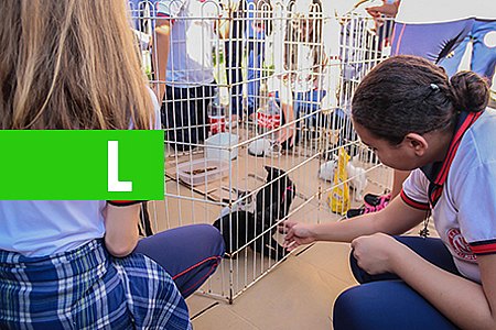 ESCOLA MURILO BRAGA É DESTAQUE NACIONAL NO PRÊMIO BETINHO ATITUDE CIDADÃ - News Rondônia