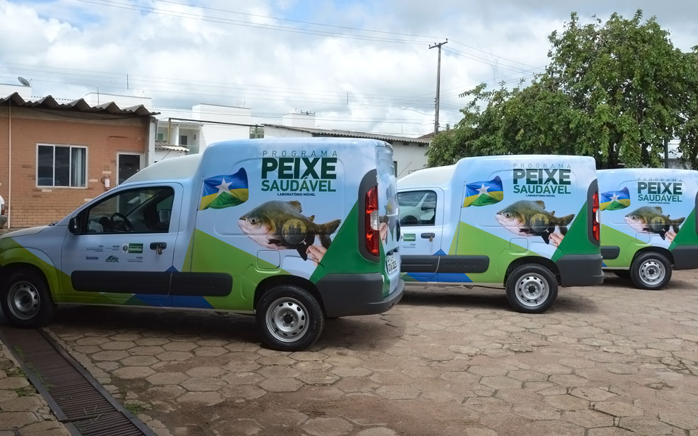 AÇÕES DO PROGRAMA PEIXE SAUDÁVEL DEVEM FOMENTAR A CADEIA PRODUTIVA DA PISCICULTURA EM RONDÔNIA - News Rondônia