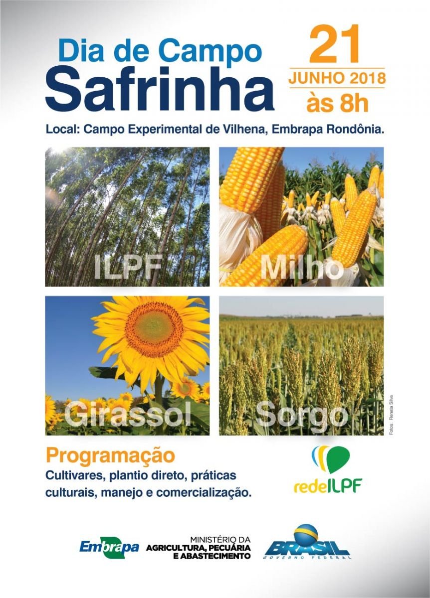 DIA DE CAMPO SAFRINHA DA EMBRAPA ACONTECE DIA 21 DE JUNHO EM VILHENA, RO - News Rondônia