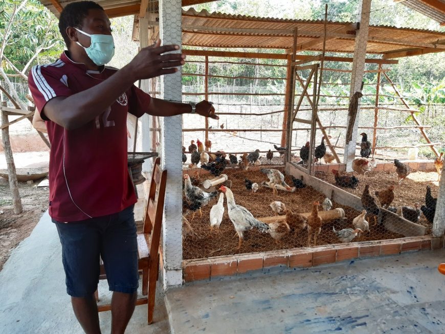 SUSTENTABILIDADE - Produtores ressaltam eficiência do sistema agroecológico; ciclo de palestras sobre o tema inicia nesta quarta-feira, 14 - News Rondônia