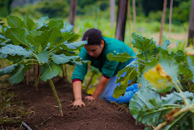 Projeto 'Governo no Campo' vai fortalecer Agricultura Familiar nos 52 municípios de Rondônia - News Rondônia