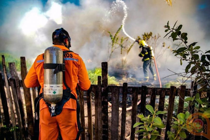 BLITZ DE COMBATE ÀS QUEIMADAS URBANAS É ORGANIZADA PARA CONSCIENTIZAR POPULAÇÃO DE PORTO VELHO - News Rondônia