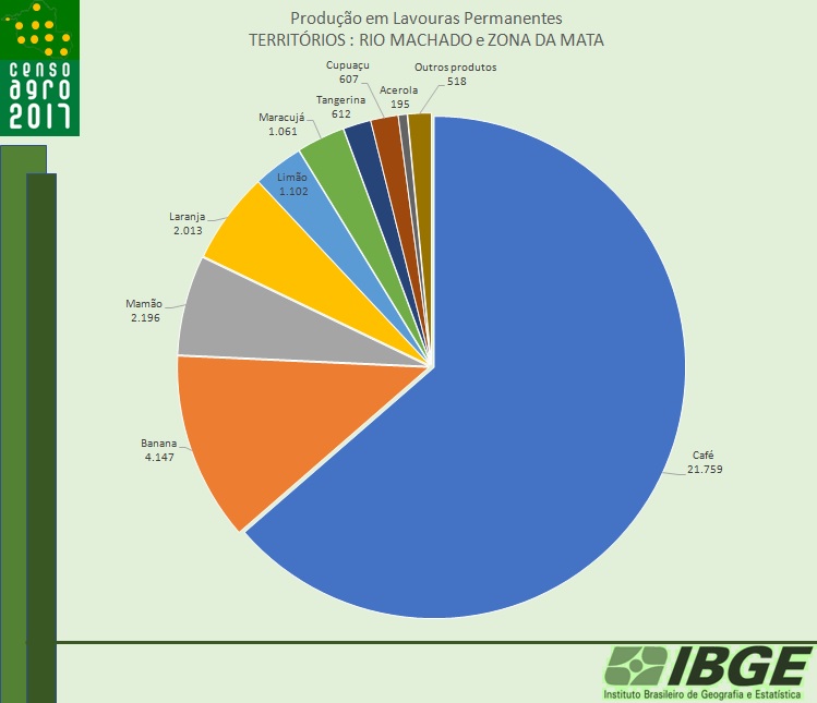 SOJA LIDERA A PRODUÇÃO AGRO EM RONDÔNIA, DE ACORDO COM O IBGE - News Rondônia
