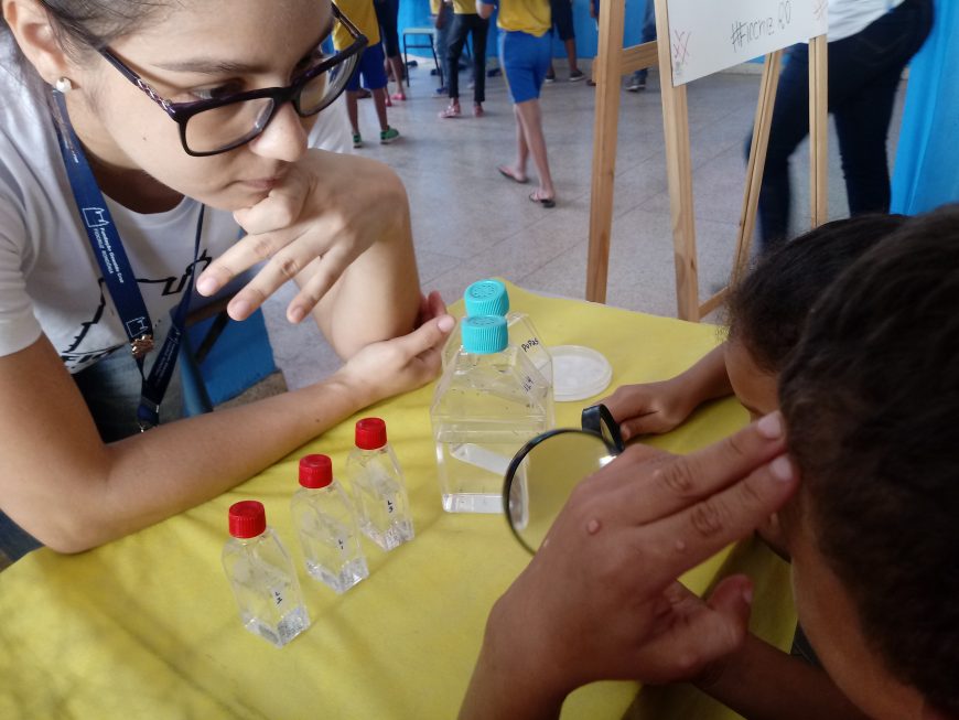 PESQUISADORES E ESTUDANTES DA REDE MUNICIPAL SE UNEM PARA COMBATER O MOSQUITO AEDES EM PORTO VELHO - News Rondônia
