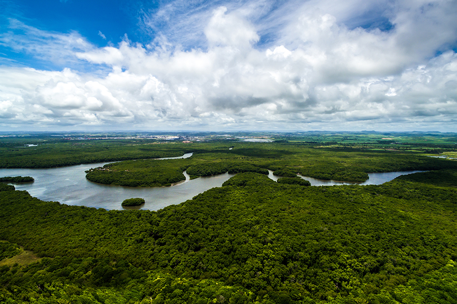 PUNHAIS DA TRAIÇÃO - POR CARLOS SPERANÇA - News Rondônia