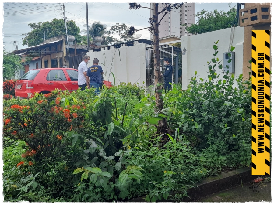 Pitbull é abatido ao entrar em residência e matar cachorro no centro da capital - News Rondônia