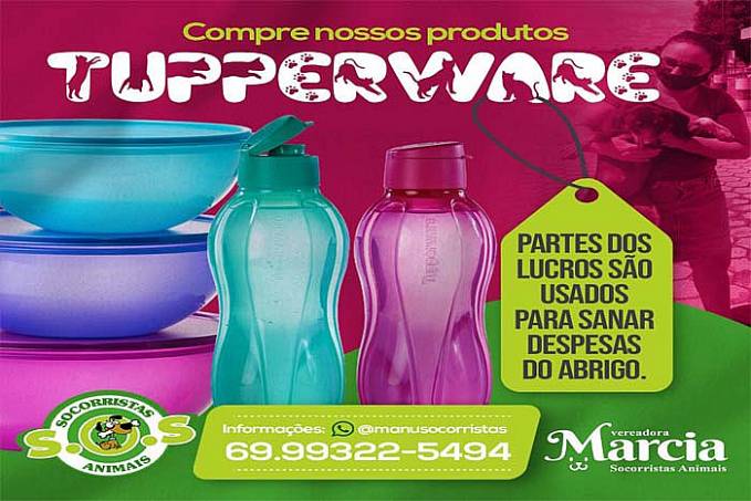 Protetora de animais vende tupperware para ajudar na manutenção de abrigo - News Rondônia