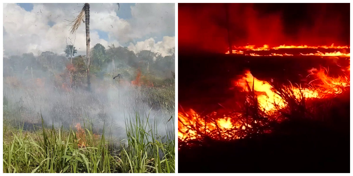 BALANÇO: MAIS DE 210 MIL LITROS DÁGUA FORAM DERRAMADOS NA FLORESTA DE RONDÔNIA PARA ACABAR COM INCÊNDIOS - News Rondônia