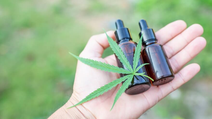 Comissão da Câmara aprova texto que libera cultivo de cannabis por empresas para fins medicinais - News Rondônia