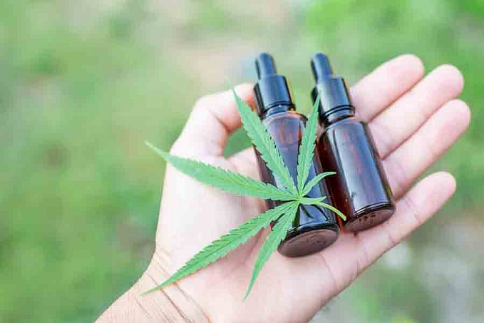 Comissão da Câmara aprova texto que libera cultivo de cannabis por empresas para fins medicinais - News Rondônia