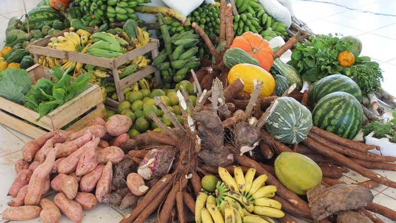 NO CONE SUL, GOVERNO FORTALECE AGRICULTURA FAMILIAR, ORIENTA PRODUTORES SOBRE CRÉDITO E INCENTIVA AGROINDÚSTRIAS - News Rondônia