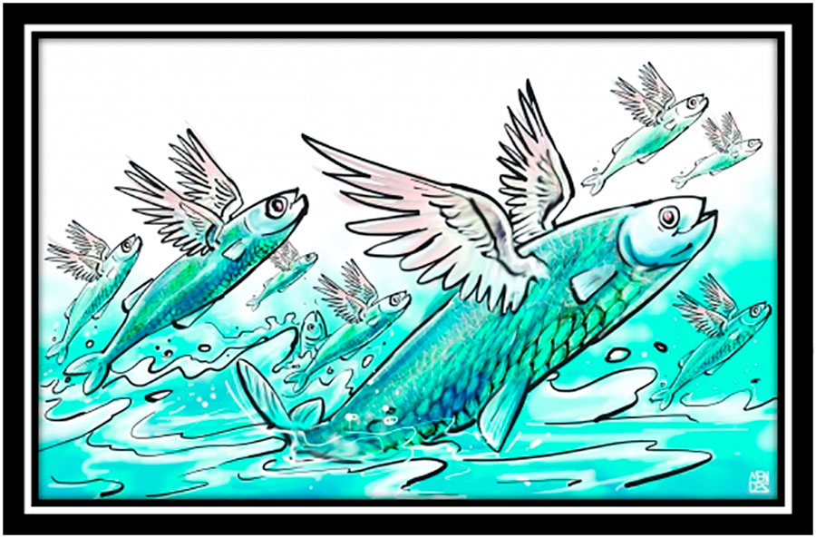 PEIXES VOADORES: ALGOZES DO ENGENHEIRO DE PESCA - News Rondônia