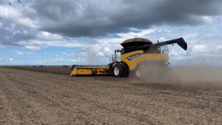 Conab inicia, junto com parceiros, o Crop Tour da produtividade da soja - News Rondônia