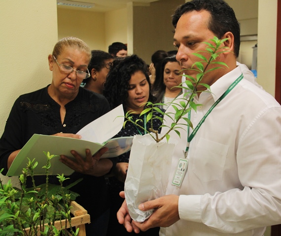 MEIO AMBIENTE: MUDAS SÃO DISTRIBUÍDAS PARA MOBILIZAR SERVIDORES E MAGISTRADOS - News Rondônia