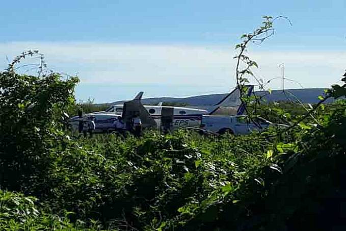 Avião com doses da vacina da Covid-19 bate em jumento que estava em pista de aeródromo - News Rondônia